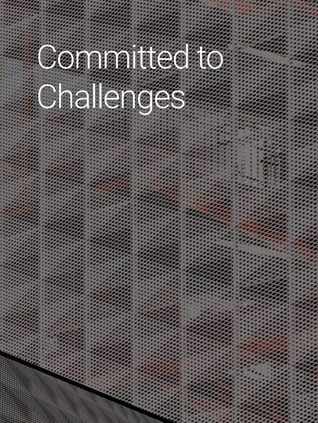 Committed to Challenges